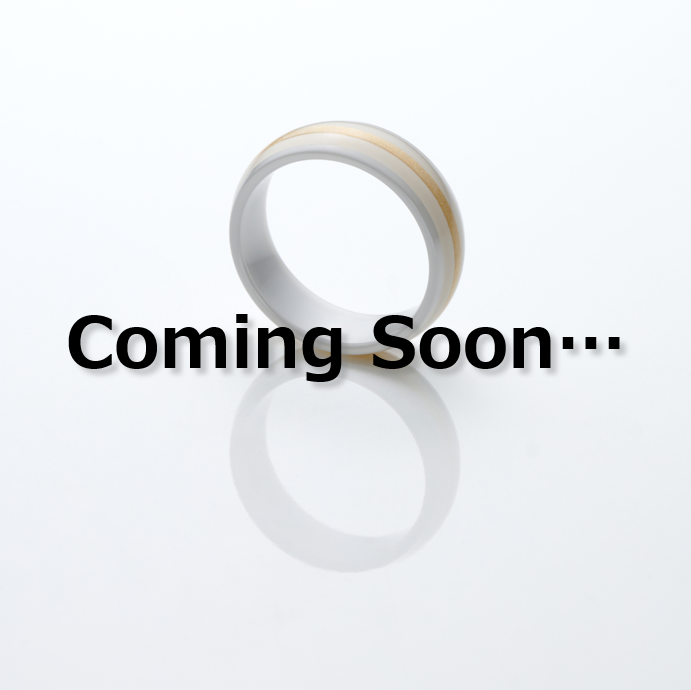 ●【定額】EVERING Colors(DARK GRAY/LIGHT GRAY/GOLD LINE)