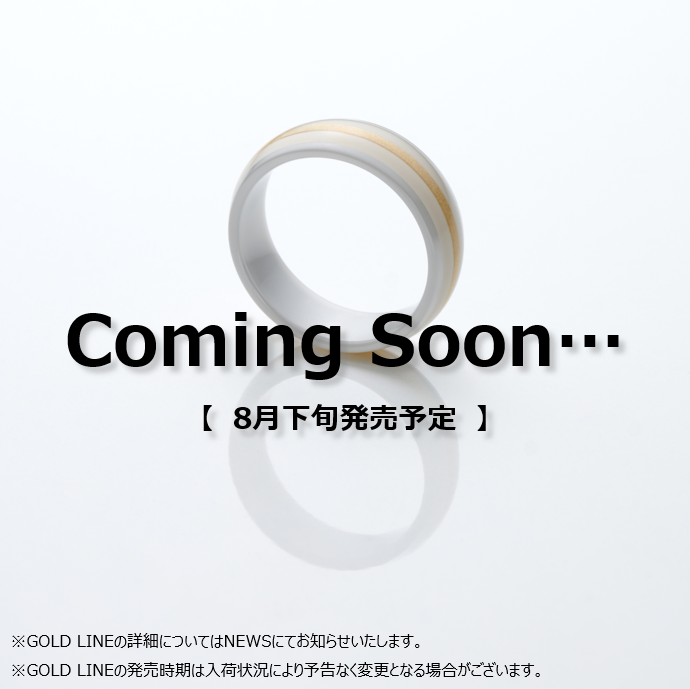 ●【定額】EVERING Colors(DARK GRAY/LIGHT GRAY/GOLD LINE)